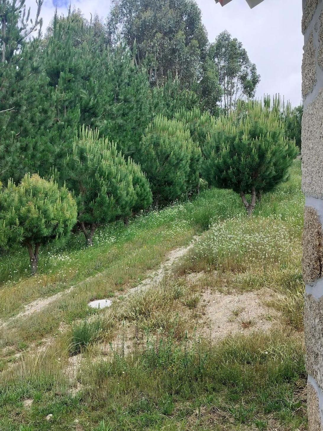 Arpuro Villa Gouveia  Eksteriør bilde